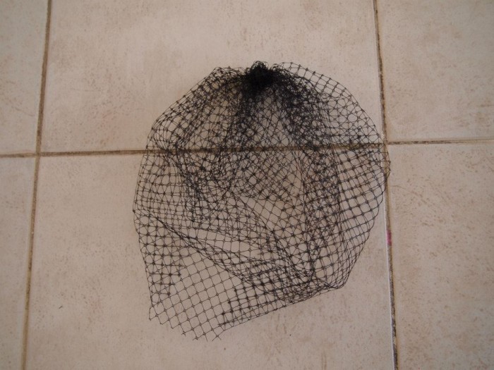 DIY Bird cage Veil