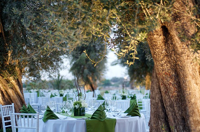 Get To Know The Wedding Pro: Desert Palm