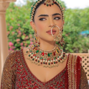 Indian Bridal Makeup by Elani Makeup Artist